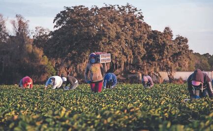 Vivimos con miedo todos los días, dice migrante oaxaqueño