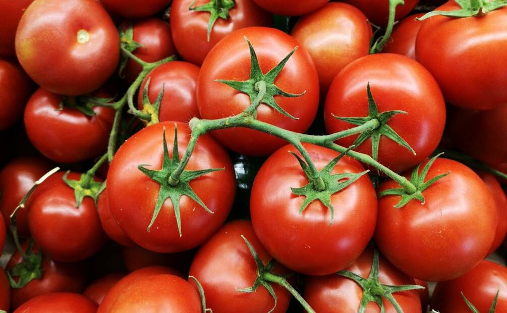 Mientras que para el resto del mundo es "tomate", para los mexicanos es "jitomate". Foto: Unsplash