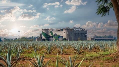 5 experiencias en el pueblo mágico de Tequila