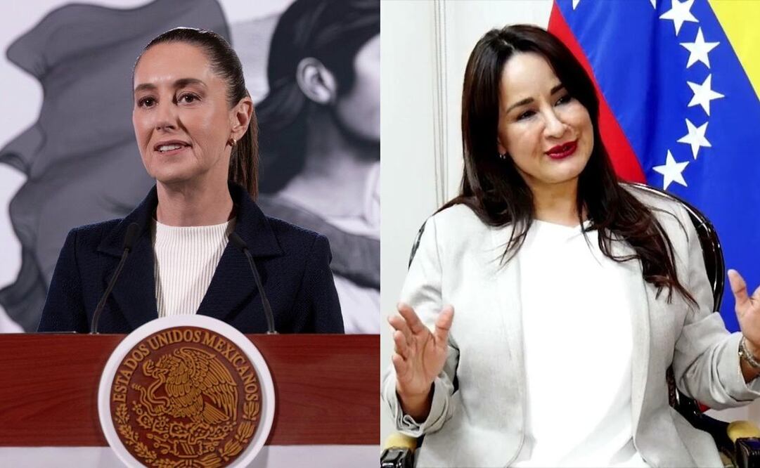 El Parlamento de Venezuela designa nueva embajadora del país caribeño ante México. Foto: Especial