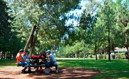 Parques, zoológicos y áreas naturales operarán con aforo de 80% en el Edomex 