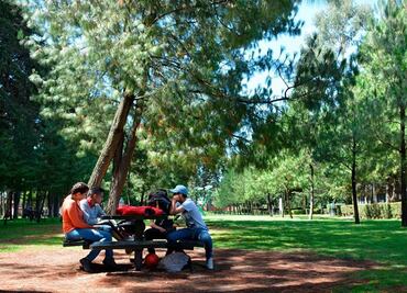 Parques, zoológicos y áreas naturales operarán con aforo de 80% en el Edomex