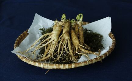 Conoce las propiedades del ginseng y sus beneficios