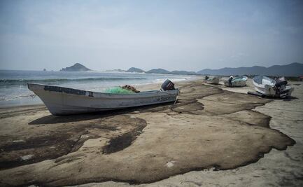 Biodiversidad a la baja