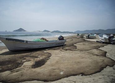 Biodiversidad a la baja