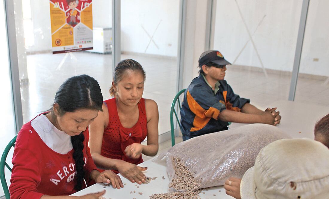 En noviembre pasado, en un rancho de Coahuila, fueron liberados varios niños que eran explotados laboralmente (FOTOS: ARCHIVO EL UNIVERSAL)