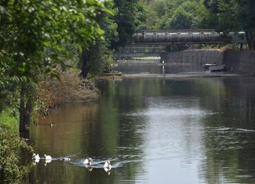 Canal Nacional recibirá recursos para actividades de conservación y protección