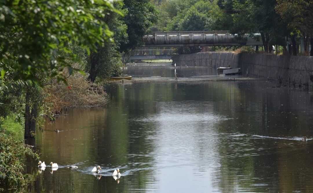 Foto: Archivo El Universal