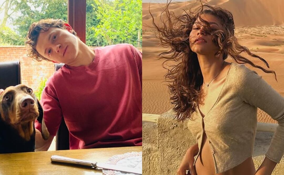 Tom Holland y Zendaya se habrían comprometido entre Navidad y fin de año. Foto: Instagram oficial.