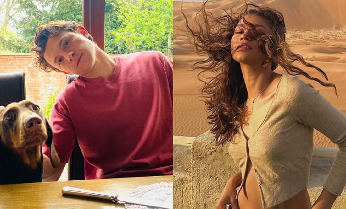 Tom Holland y Zendaya se habrían comprometido entre Navidad y fin de año. Foto: Instagram oficial.