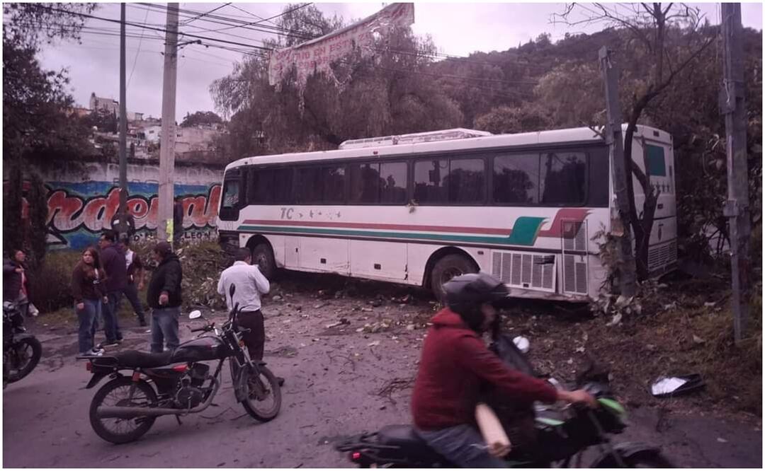 Camión de transporte público se impacta contra árbol en Xochimilco este 27 de septiembre de 2024. Foto: Especial