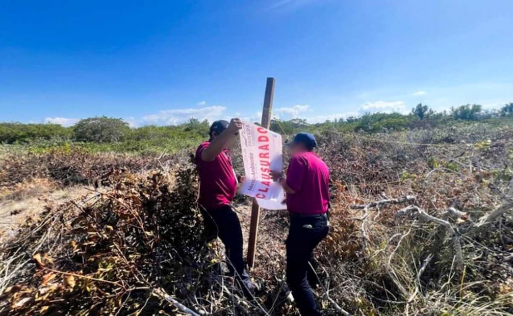 Profepa clausura obras irregulares en Morelos y Yucatán. Foto: Profepa