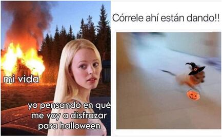Halloween 2025: los mejores memes para espantar este 31 de octubre