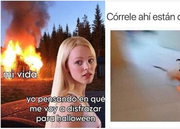 Halloween 2025: los mejores memes para espantar este 31 de octubre