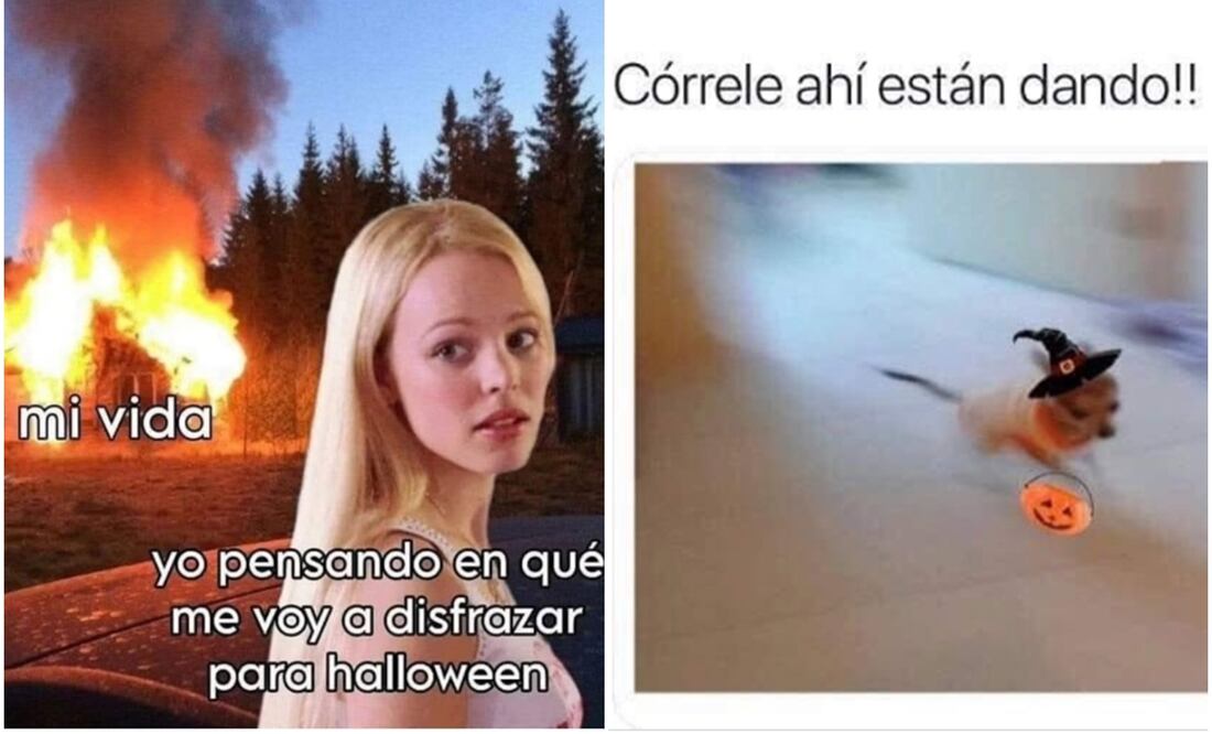 Halloween 2025: los mejores memes para espantar este 31 de octubre