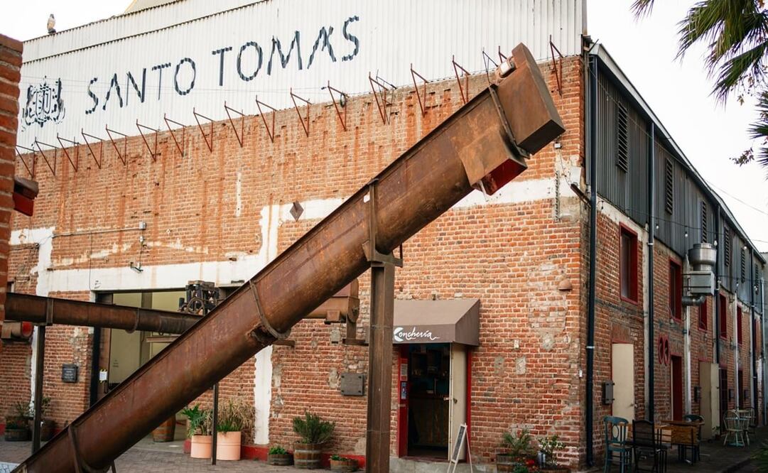 Bodega Santo Tomás / Fotos: Cortesía