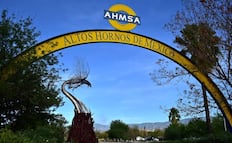 Fijan fecha límite para definir venta de Altos Hornos de México y Minera del Norte 