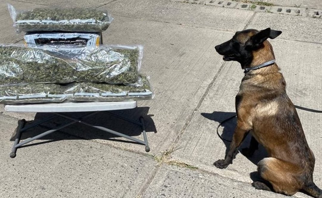 Foto: Archivo EL UNIVERSAL