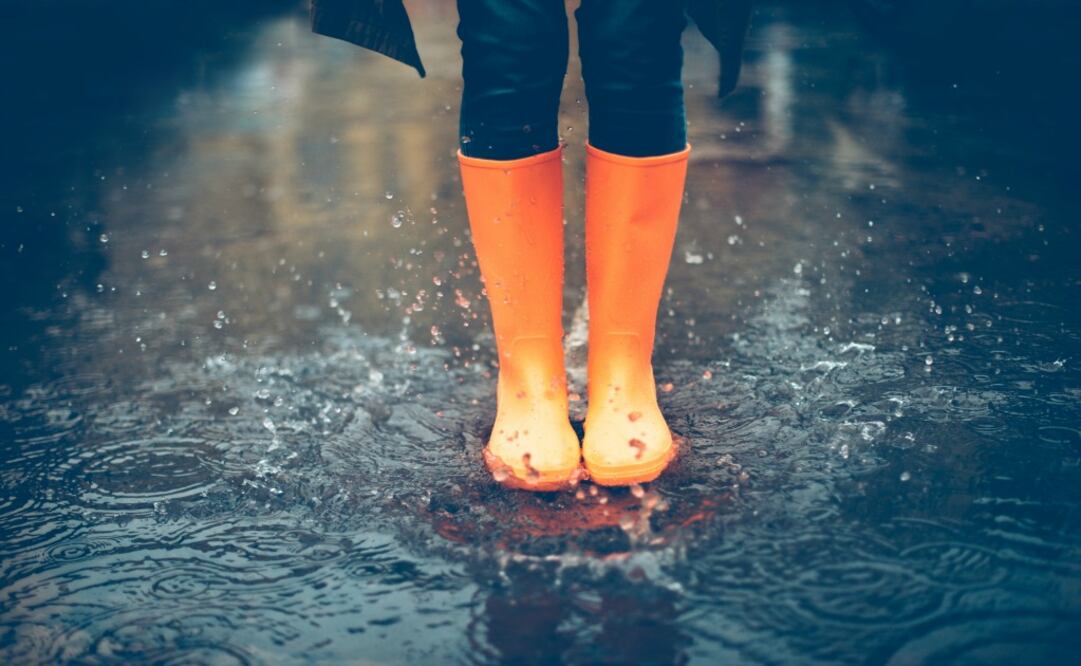 Cortesía iStock Photo