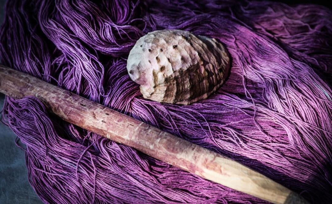 Aspecto del trabajo del tintorero Habacuc Avendaño, de Pinotepa de Don Luis, Oaxaca. Foto:: Juan Carlos Reyes/ Archivo EL UNIVERSAL