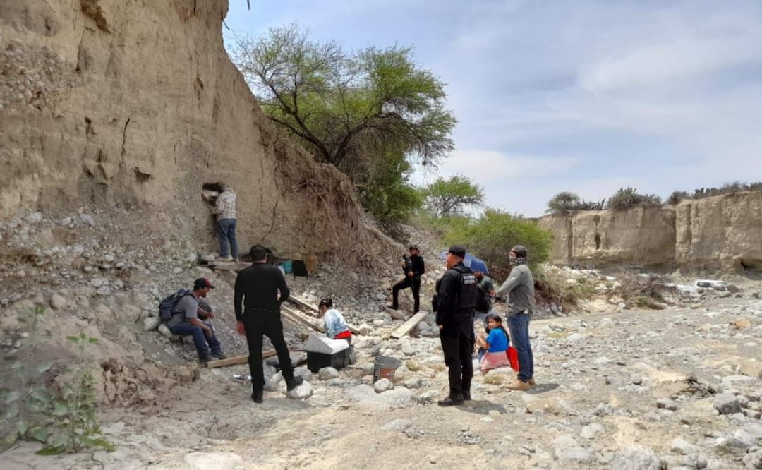 Una llamada anónima condujo a elementos de seguridad y del INAH al hallazgo de presuntos restos de mamut en Tula, Tamaulipas (19/04/2025). Foto: Especial