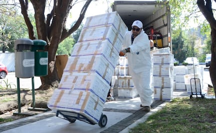 Osamentas halladas en Tren Maya darán luz sobre la dispersión de las ciudades mayas