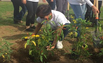 Se suma el Bosque de Aragón al "Reto Verde"