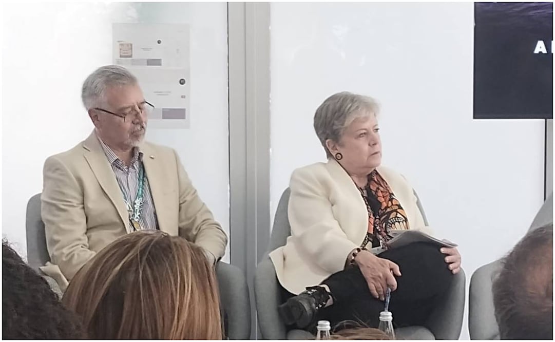 Alicia Bárcena, secretaria del Medio Ambiente en la COP-16. Foto: Especial