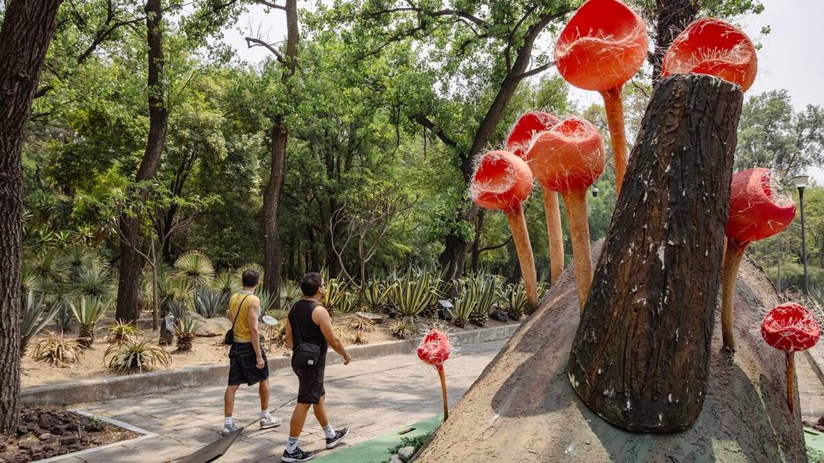 Foto: Bosque de Chapultepec