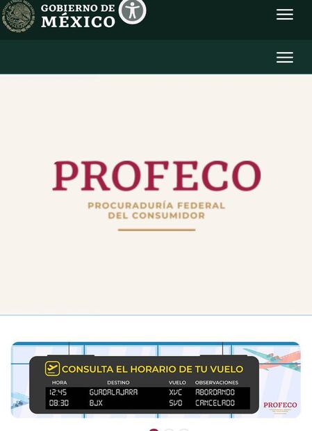 Foto: Captura gob.mx/profeco