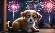 Semana Santa 2026: ¿cómo proteger a tu mascota de la pirotecnia?; aquí te contamos