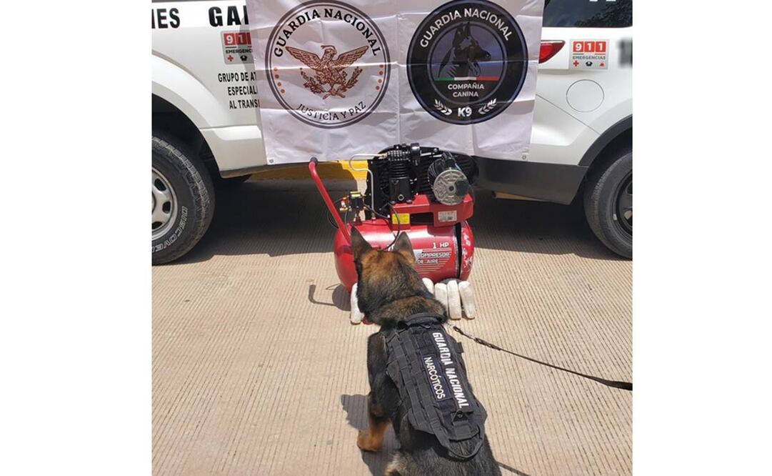 Ante la probable comisión de un delito, el paquete quedó a disposición de la Fiscalía General de la República (FGR). Foto: Especial