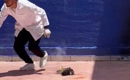 Brutal caso de maltrato animal en Guanajuato; investigan a estudiantes que explotaron a un gato con pirotecnia