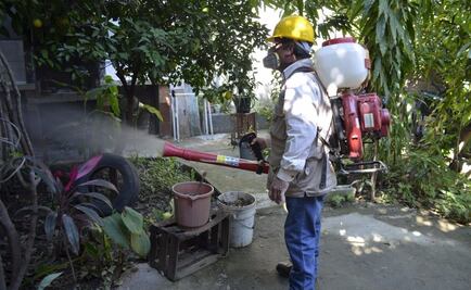 Confirman siete casos de chikungunya en Tamaulipas