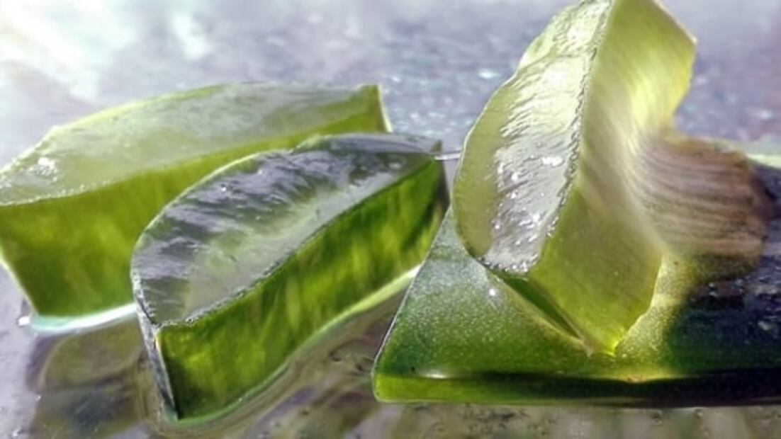 Haz crecer tu pelo con el poder de la sábila 