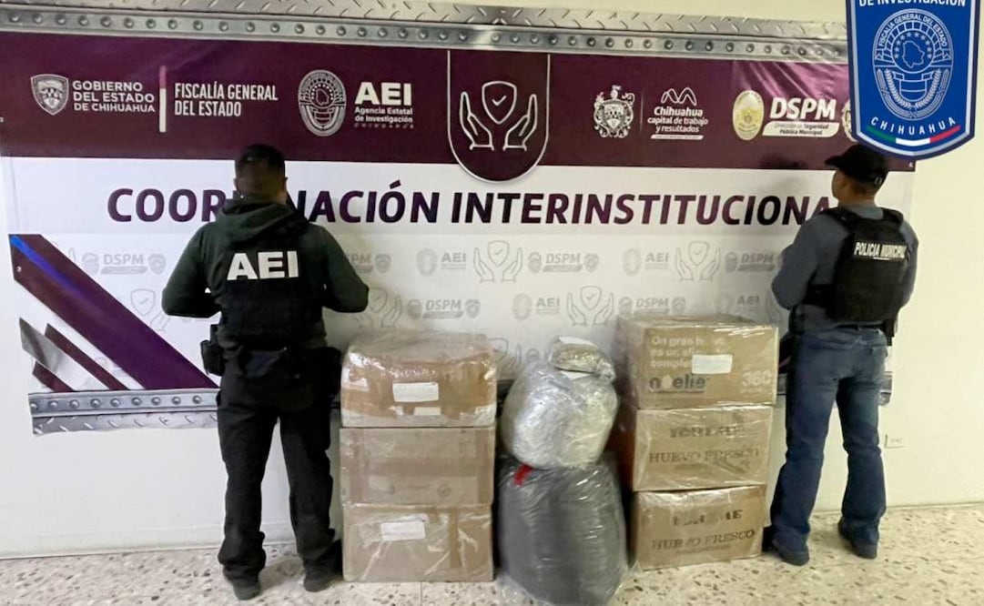 Aseguran casi 93 kilogramos de marihuana en la carretera libre a Ciudad Juárez (11/02/2026). Foto: Especial