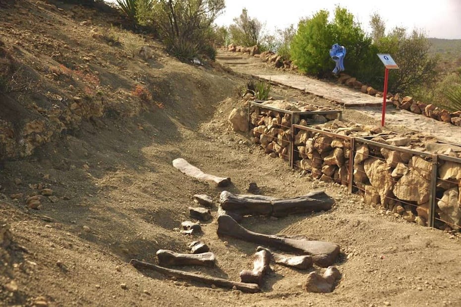 Foto: Sectur Coahuila