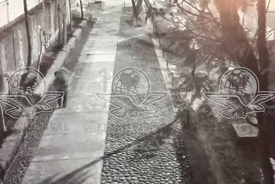 Graban a sujeto que carga maleta con cuerpo de Ingrid Alison en Tlatelolco