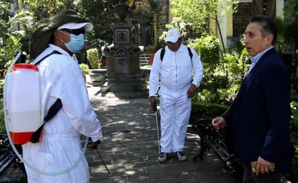 Coyoacán abrirá sus parques y jardines hasta semáforo verde ante Covid-19
