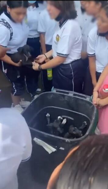 Foto: Captura de pantalla