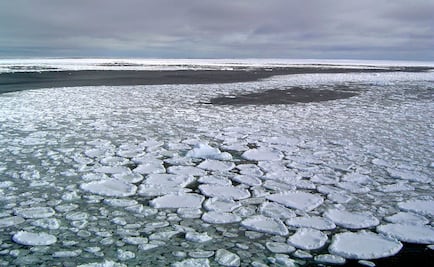 Hielo de la Antártida se reduce significativamente