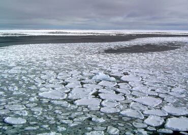 Hielo de la Antártida se reduce significativamente