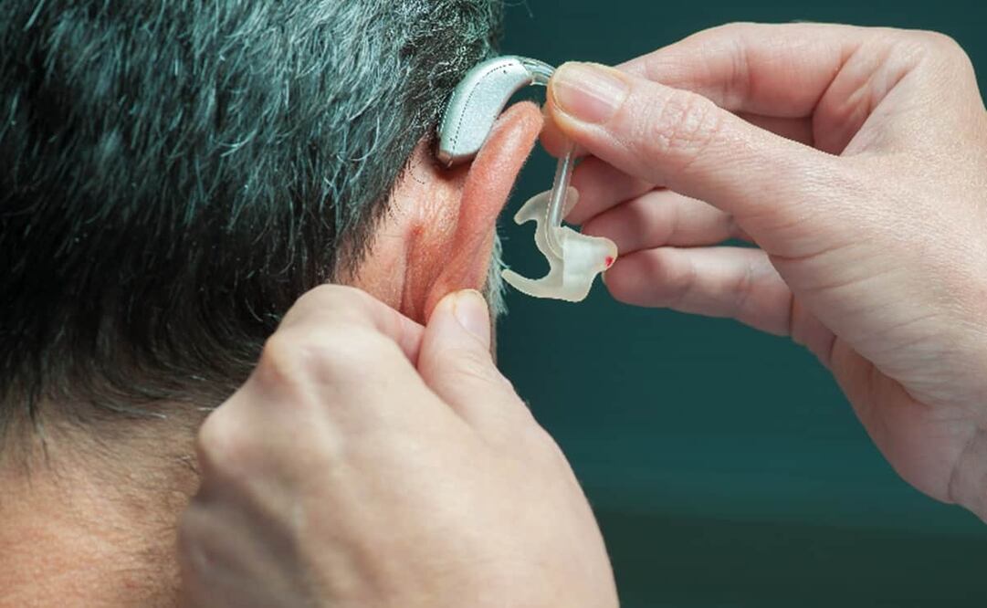 La aplicación opera como su fuera un traductor. Foto: Archivo