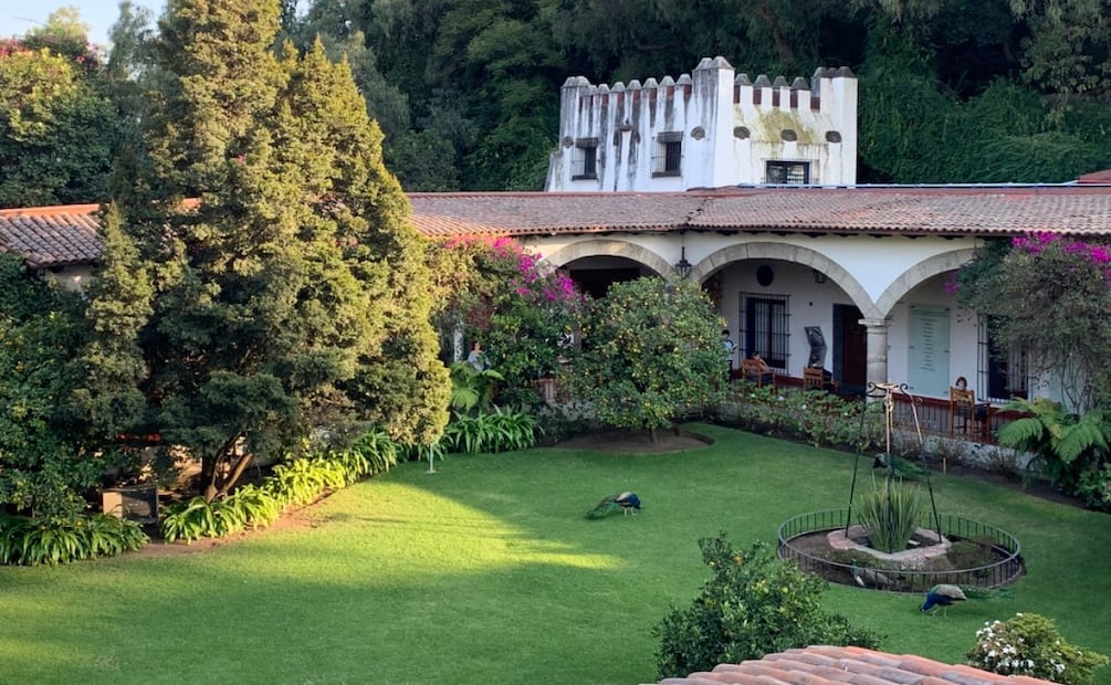 Explora las diversas salas de arte prehispánico y colonial del Museo Dolores Olmedo. Foto: Gobierno de México