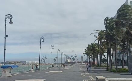 Activan alerta gris por frente frío número 11 y "Norte" en Veracruz