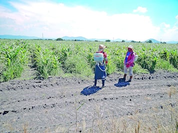 Consulado vigila condiciones de migrantes en Canadá