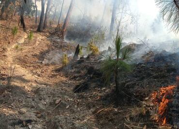 Ya se tiene control de 60% en incendio forestal de Valle de Bravo, dice AMLO