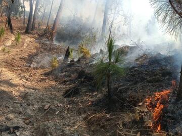 Incendio en la zona boscosa Velo de Novia en Valle de Bravo, continua pendiente de combate