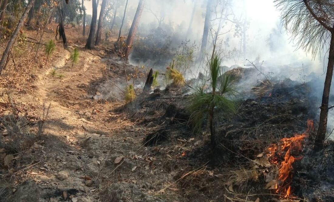 Autoridades mexiquenses informaron que realizaron un corte en la entrada a Velo de Novia, para restringir el acceso y mantener a salvo a los turistas y paseantes. Foto: Especial