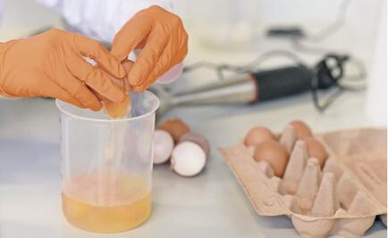 Europe tries to restrain contaminated egg crisis